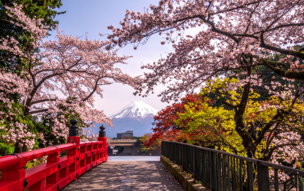 Shizuoka Spring Festival