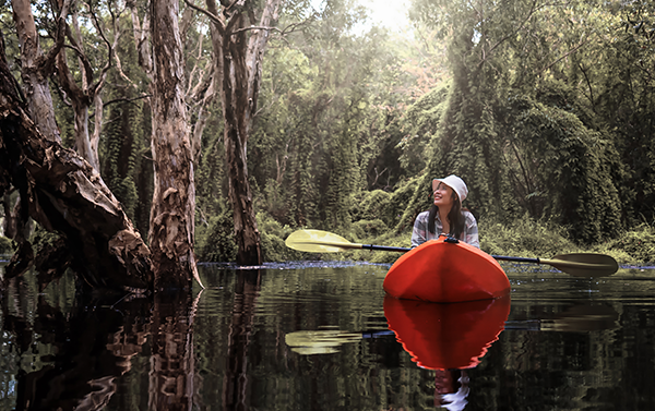 Yanbaru Mangrove Kayaking Tour