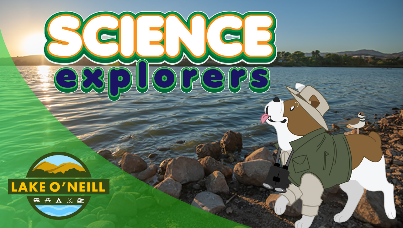 Science Explorers: Bees and Butterflies