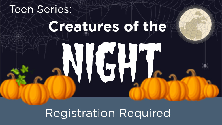 L.I.N.K.S. - Teen Series Creatures of Night
