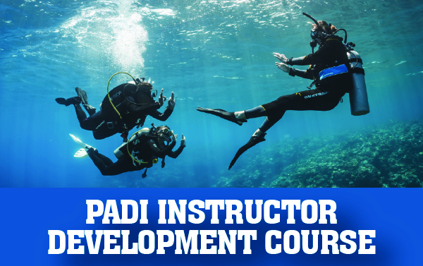 PADI Instructor Development Course