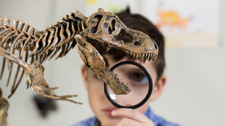 Dinovember Dinosaur Takeover