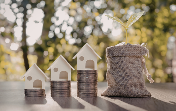 Million Dollar Marine