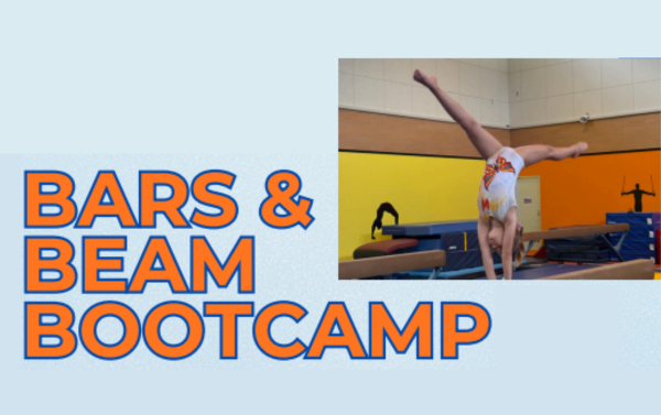 Bars and Beam Bootcamp 