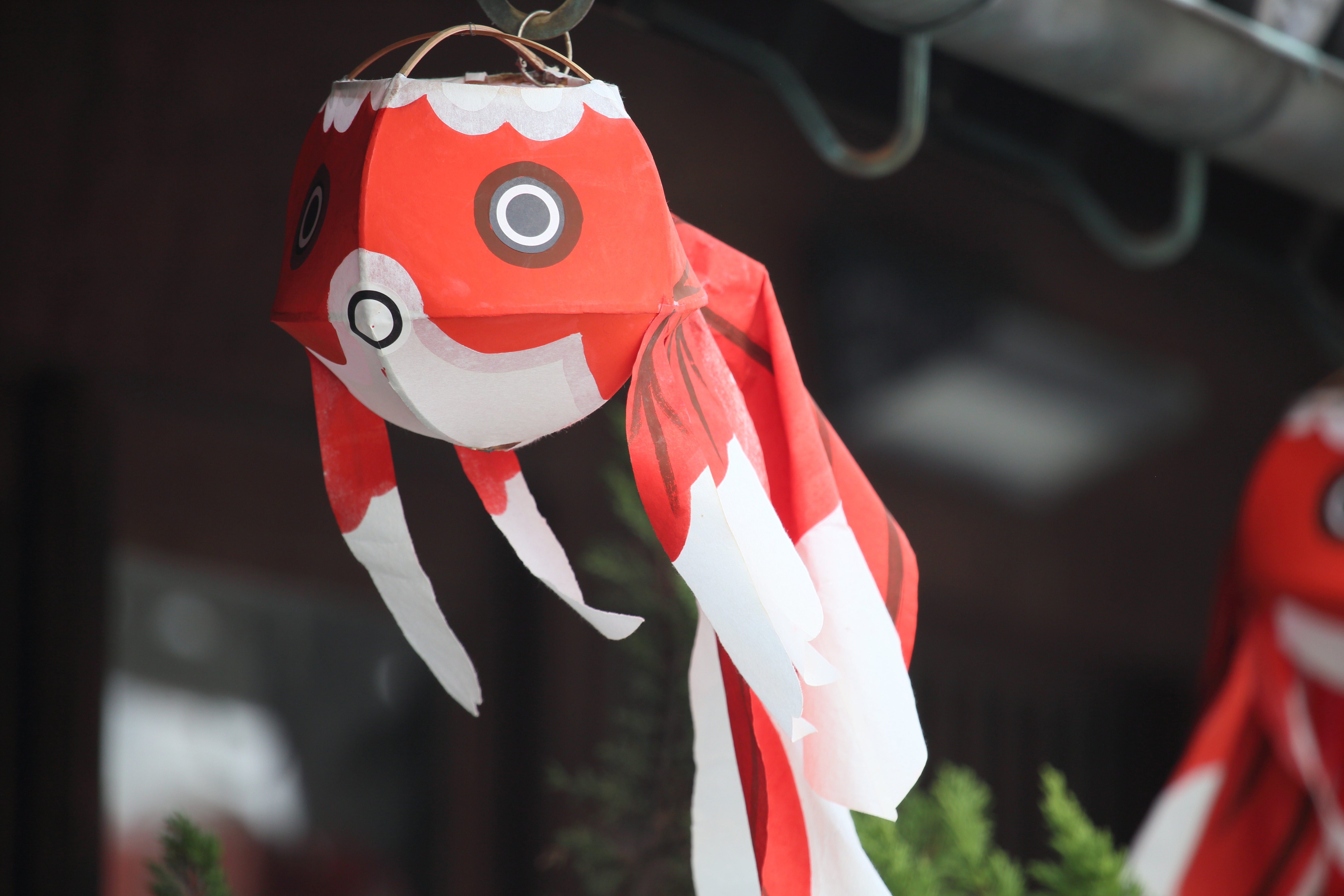 Yanai Goldfish Lantern Festival